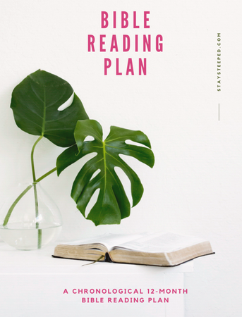 Chronological Bible Reading Plan