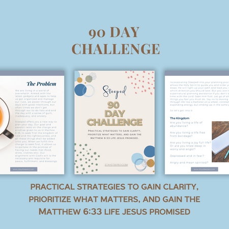 90 Day Challenge Download